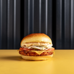 CHICKEN BURGER