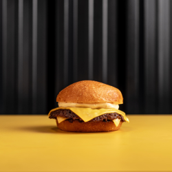 CHEESE BURGER SIN...